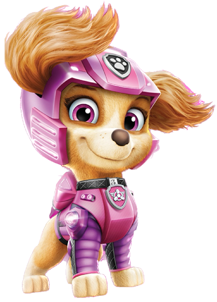 Skye Paw Patrol Resin 5 piece set FeeFiFauxLeather