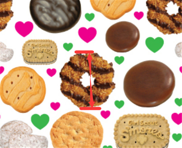 Girl Scout Cookies Glitter Printed See Through Sheet Clear Transparent Sheet FeeFiFauxLeather