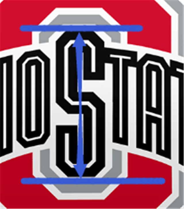 Ohio State Football Sports Litchi Printed Faux Leather Sheet FeeFiFauxLeather