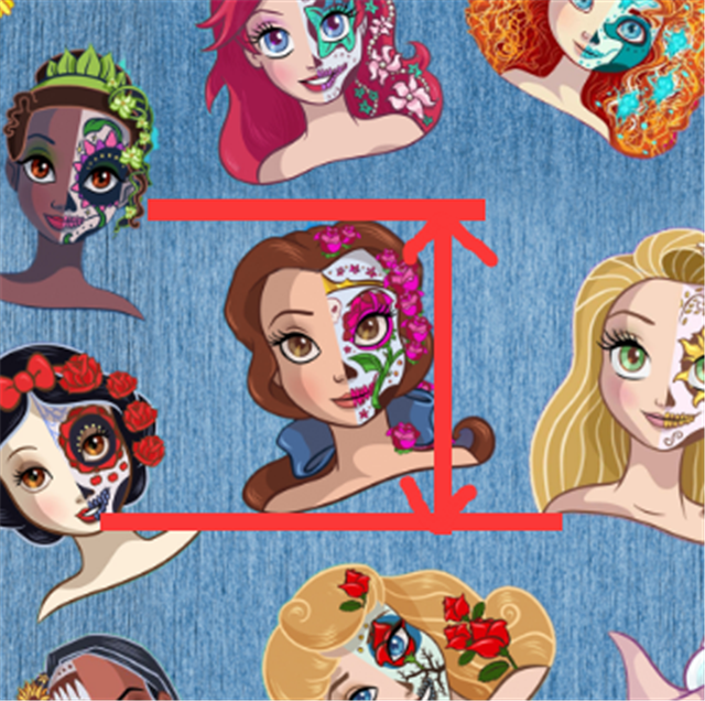 Princesses Printed See Through Sheet  Clear Transparent Sheet FeeFiFauxLeather