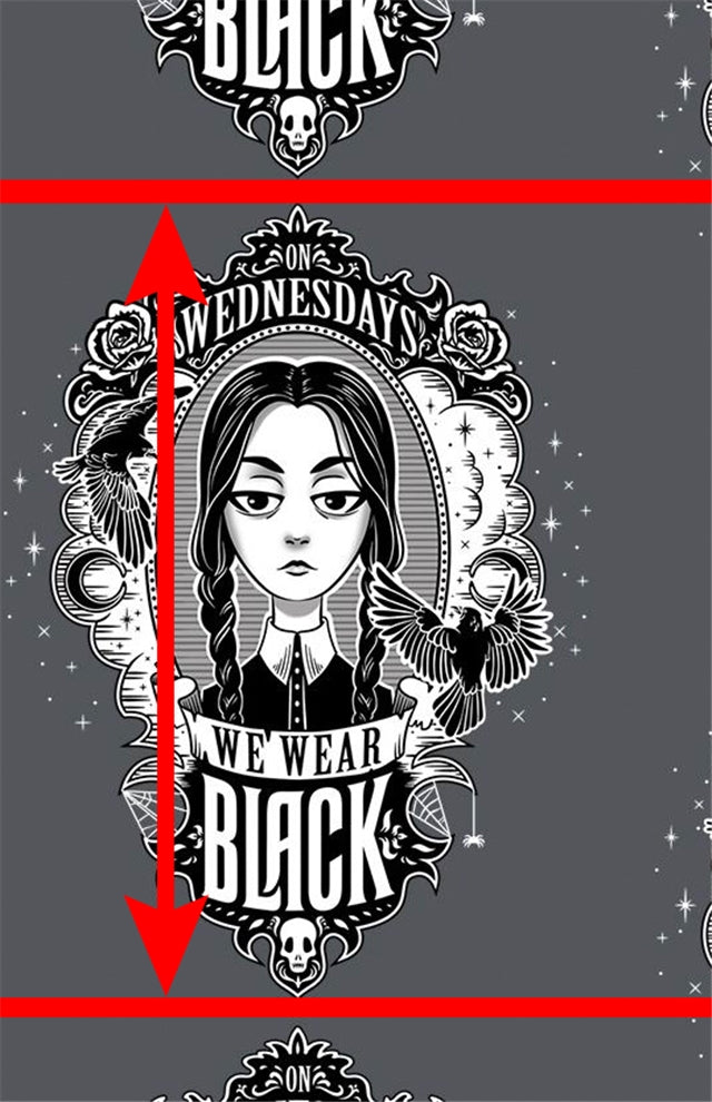 Wednesday Addams Family Printed See Through Holographic Sheet  Clear Transparent Sheet