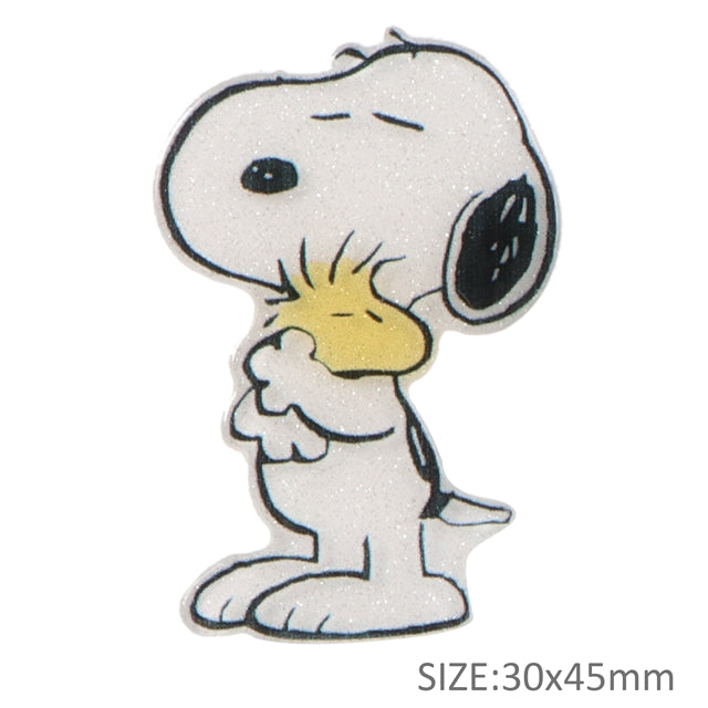 Snoopy Resin 5 piece set