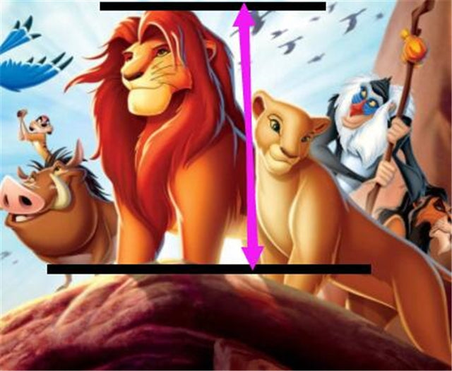 The Lion King Litchi Printed Faux Leather Sheet