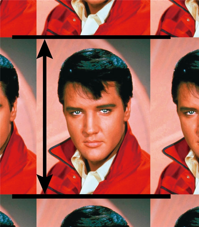 Elvis Printed Fabric FeeFiFauxLeather