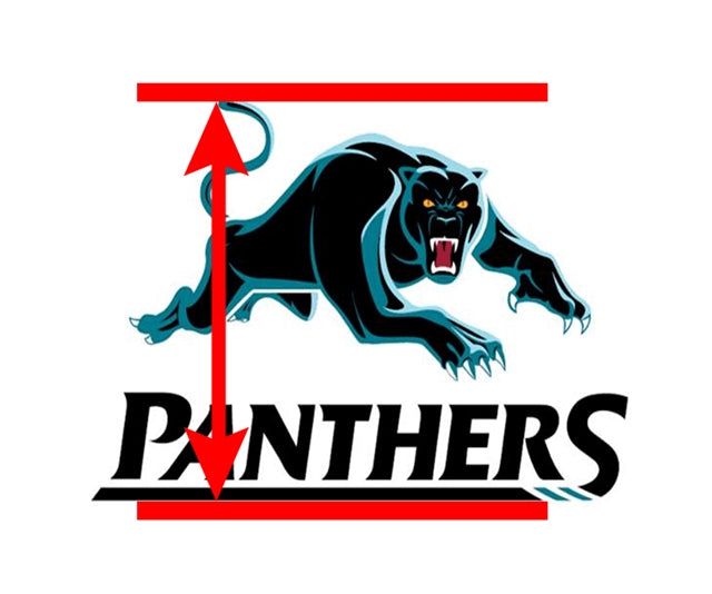 Panthers Football Sports Bullet Fabric – Textured Liverpool Fabric for Bows & Crafts FeeFiFauxLeather