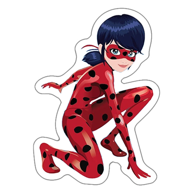 Miraculous Ladybug Resin 5 piece set