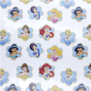 Princesses Printed See Through Vinyl ,Clear, Transparent Vinyl Sheet